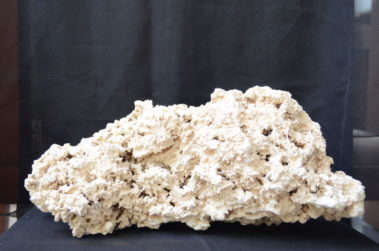 Ocean Reef Rock (1)