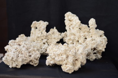 Ocean Reef Rock (12)