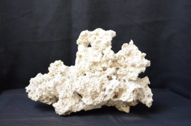 Ocean Reef Rock (3)