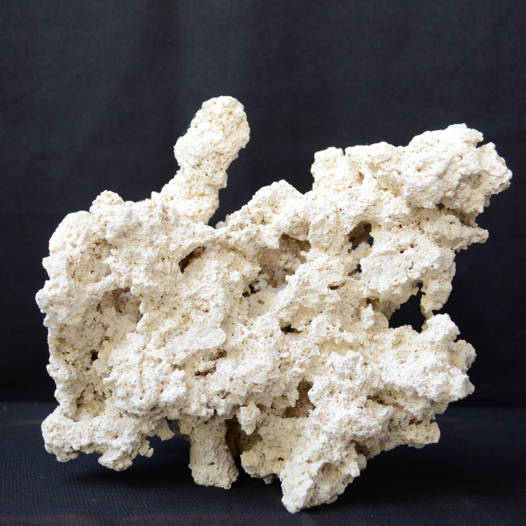 Ocean Reef Rock (4)