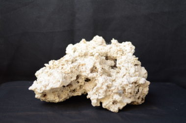Ocean Reef Rock (5)