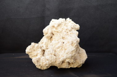 Ocean Reef Rock (6)
