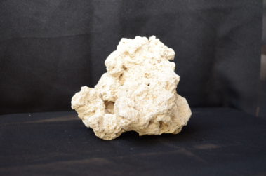 Ocean Reef Rock (7)
