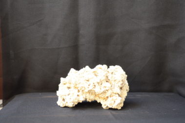 Ocean Reef Rock (9)