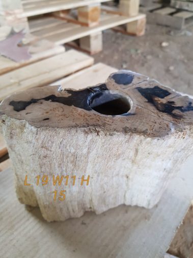 Petrified Wood Plate & Candle Holder (1)