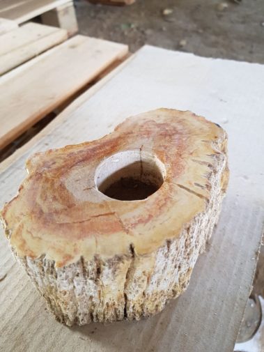 Petrified Wood Plate & Candle Holder (11)