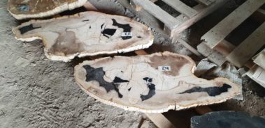 Petrified Wood Plate & Candle Holder (17)