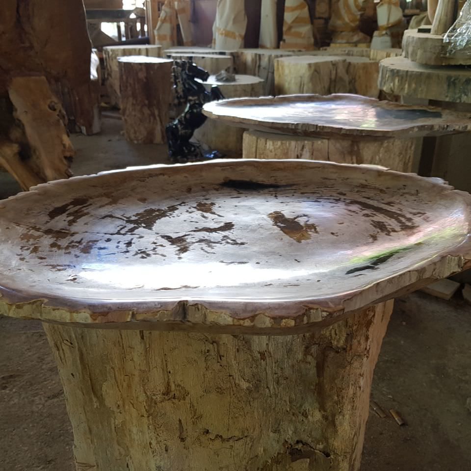 Petrified Wood Plate & Candle Holder (5)