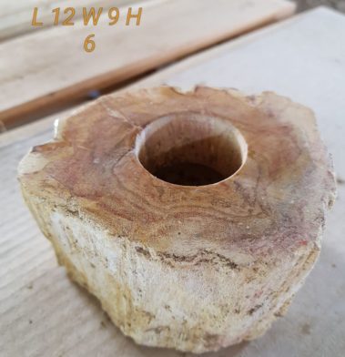 Petrified Wood Plate & Candle Holder (8)