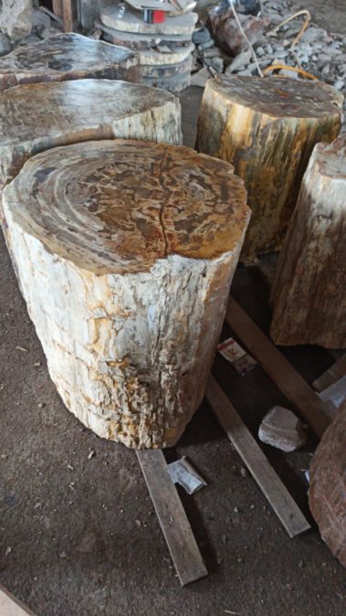 Petrified Wood Stool (4)