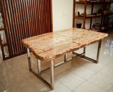 Petrified Wood Table (1)