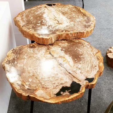 Petrified Wood Table (12)