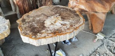 Petrified Wood Table (17)
