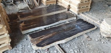 Petrified Wood Table (19)