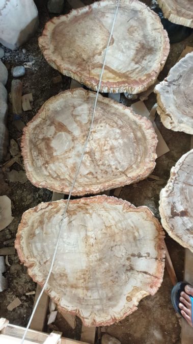 Petrified Wood Table (20)