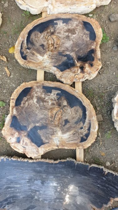 Petrified Wood Table (21)