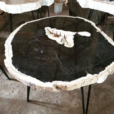 Petrified Wood Table (22)