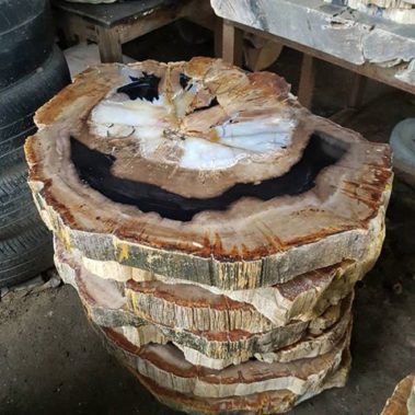 Petrified Wood Table (24)