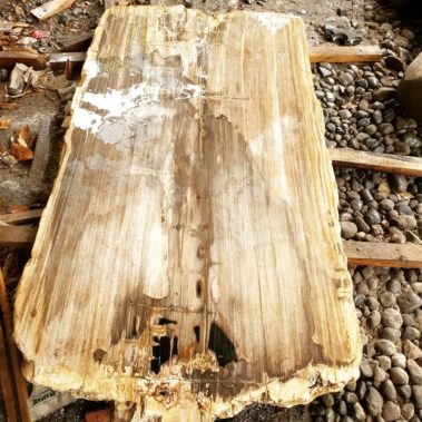 Petrified Wood Table (4)