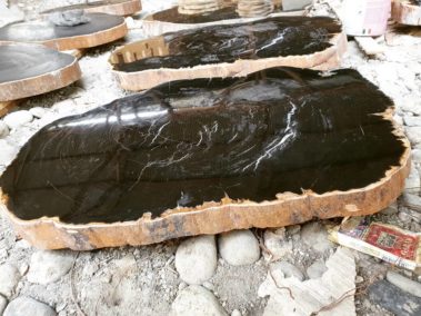 Petrified Wood Table (5)