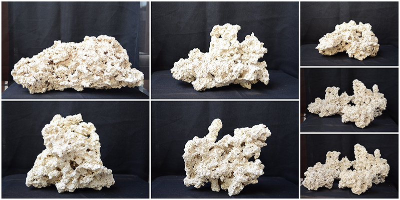 Marine Saltwater Rock 400