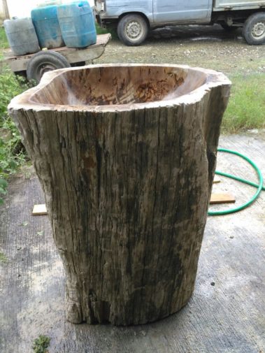 Petrified Wood Pedesal (1)