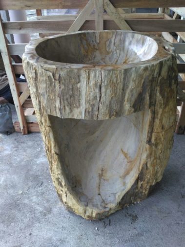 Petrified Wood Pedesal (3)