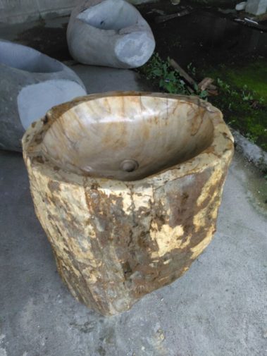 Petrified Wood Pedesal (5)