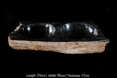Petrified Wood Sinks (18)