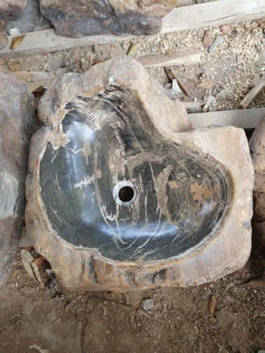 River Petrified Wood (10)