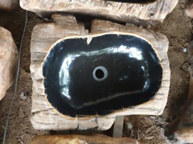 River Petrified Wood (3)