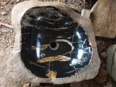 River Petrified Wood (4)