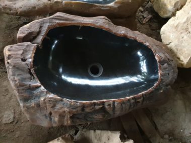 River Petrified Wood (5)