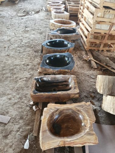 River Petrified Wood (7)