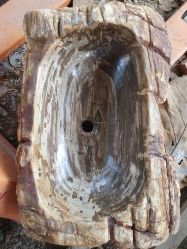 River Petrified Wood (8)